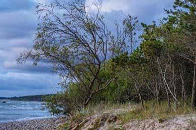 智能穿戴设备在青少年体育锻炼中的应用，智能穿戴项目