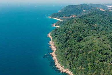 智能穿戴设备在青少年体育锻炼中的应用，智能穿戴项目